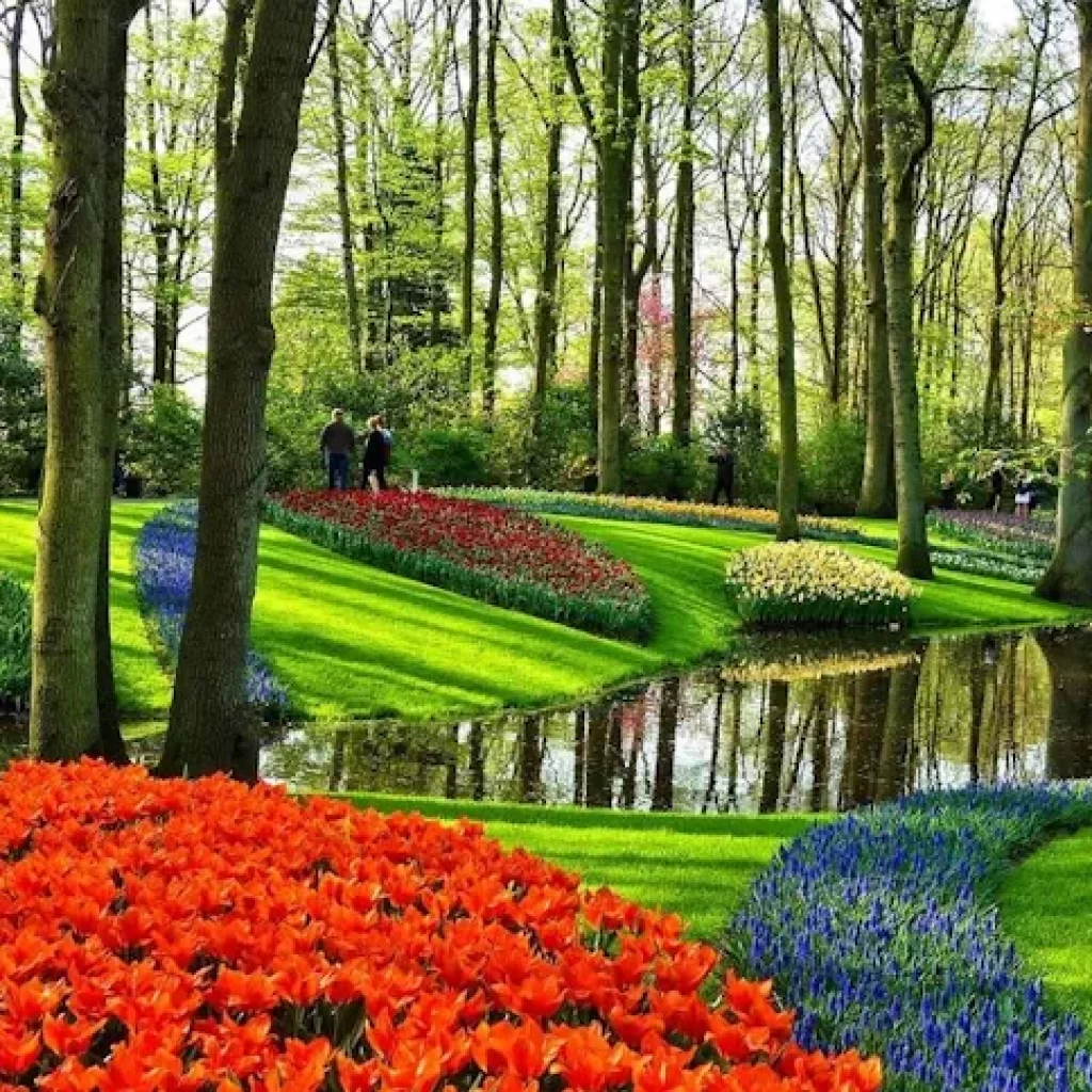عروض كروز هولندا امستردام 8 ايام