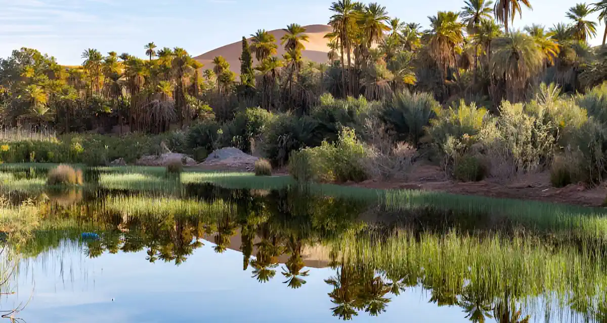 عروض الجزائر رحلة واحات وادي مزاب 7 أيام
